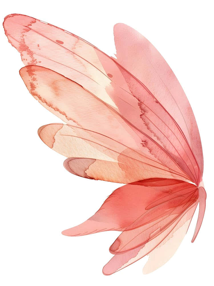 Watercolor Butterfly Wings