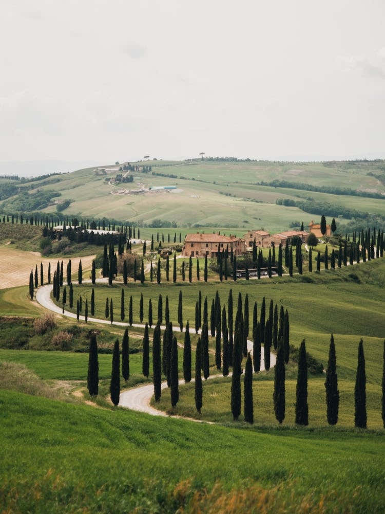 Val d'Orcia Italy | The green hills of beautiful Tuscany