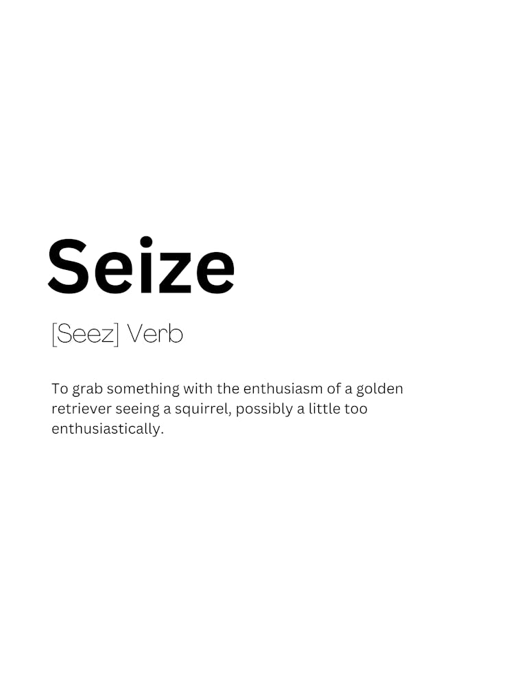 Seize Definition Meaning Art Print By Kaigozen Fy seize-definition-meaning-art-print-by-kaigozen-fy