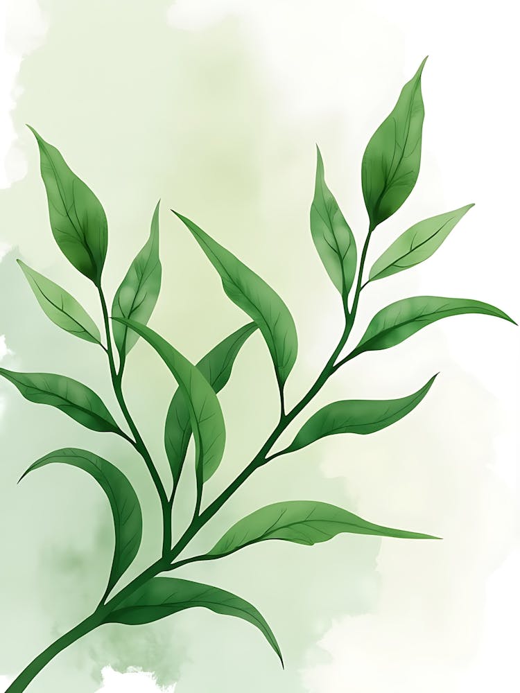 Modern Organic Form For Serene Wall Spaces