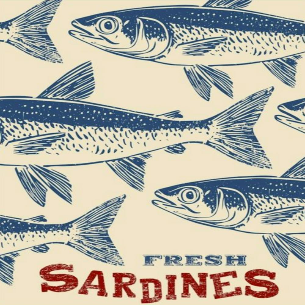 Fresh Sardines
