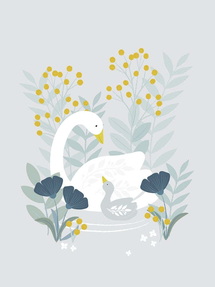 Mother And Baby Swan 2