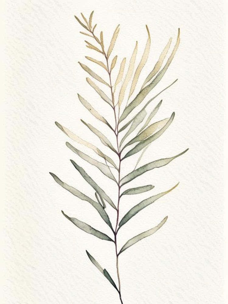 Sagebrush Leaf Minimalist Watercolour