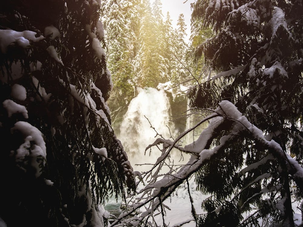 Hidded Forest Waterfall - Winter Landscape