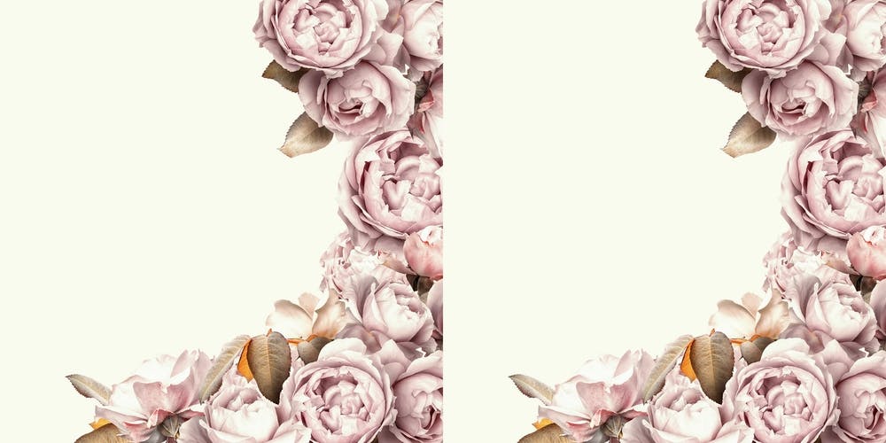 Vintage Summer Sepia Rose Blossoms Garden