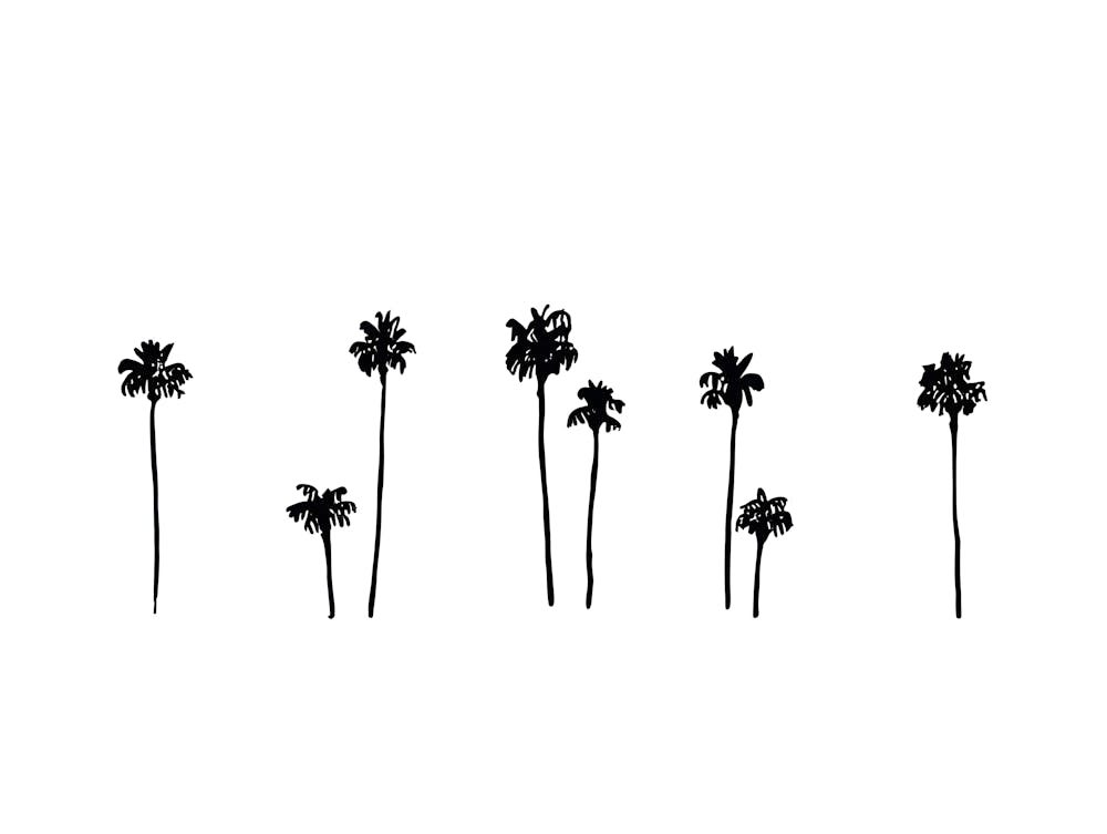 Palm Tree Silhouettes: Black and White Line