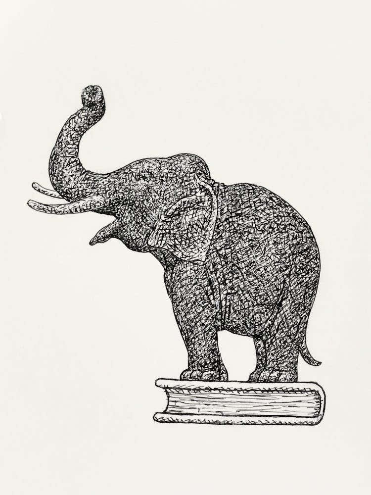 Elephant On A Book