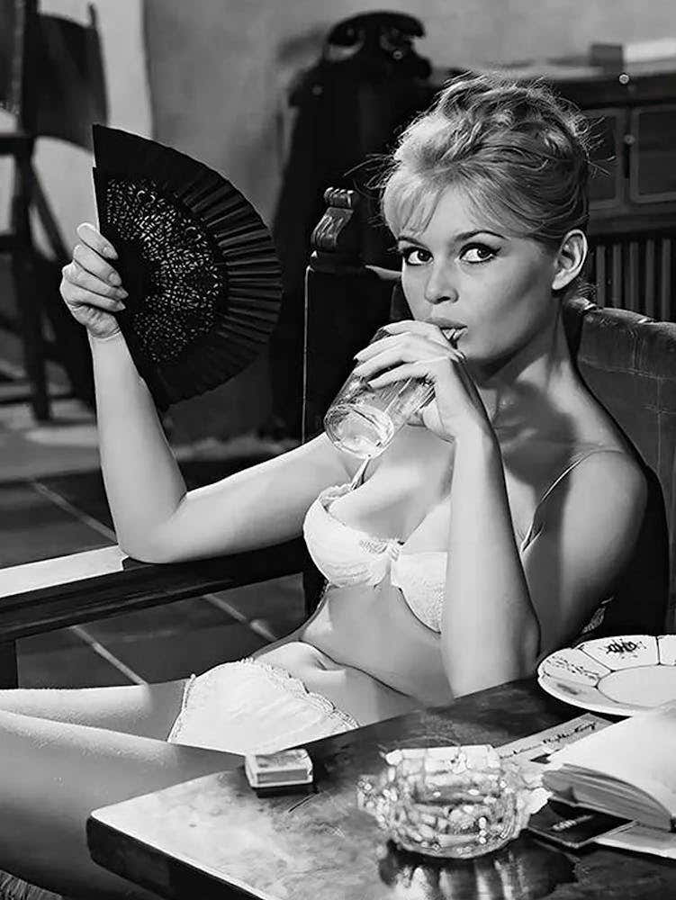 Brigitte Bardot Bikini