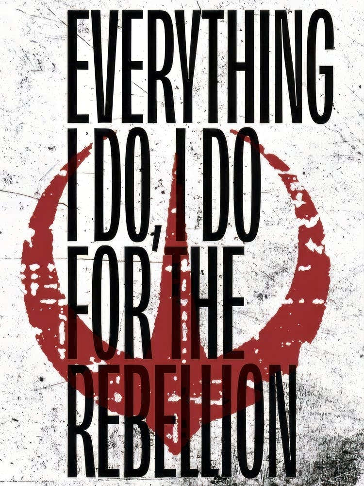 Everything I Do Do For The Rebellion 1