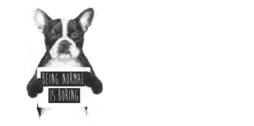 Being Normal Is Boring