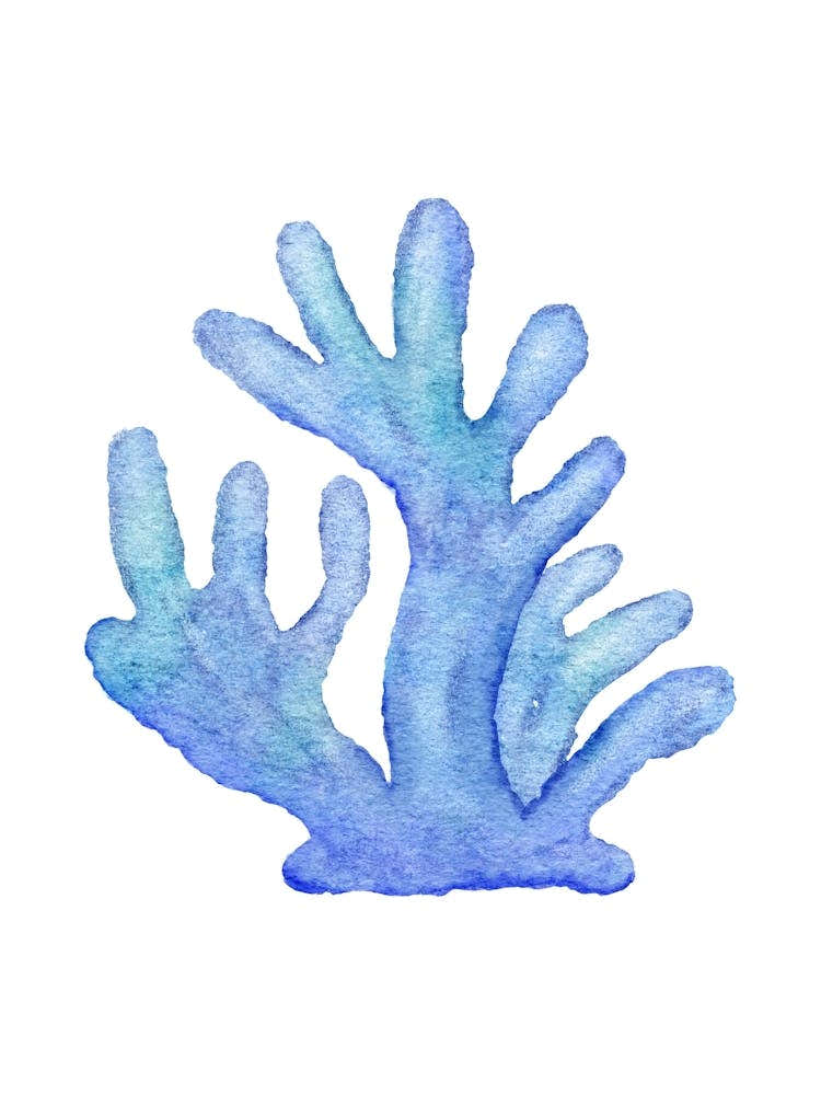 Watercolor Blue Coral