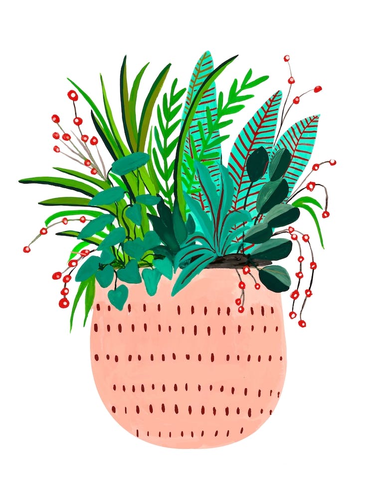 Peach Potted Plant