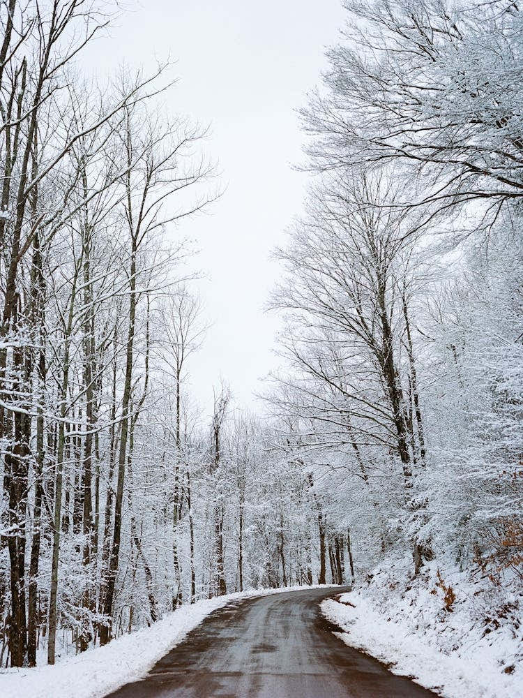 Upstate New York Snow II on Film
