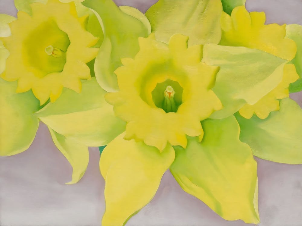 Georgia O'Keeffe - Jonquils I, 1936