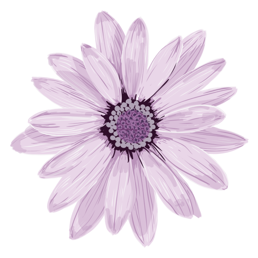 20240504 112125 0000