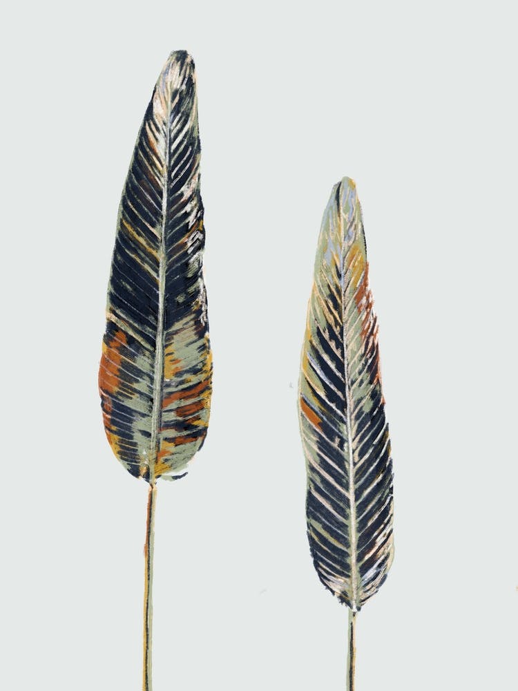 Tree Leaves