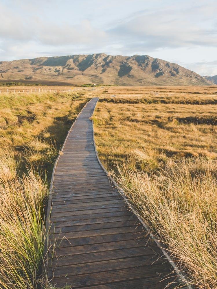 Irish Boardwalk Mountain Landscape