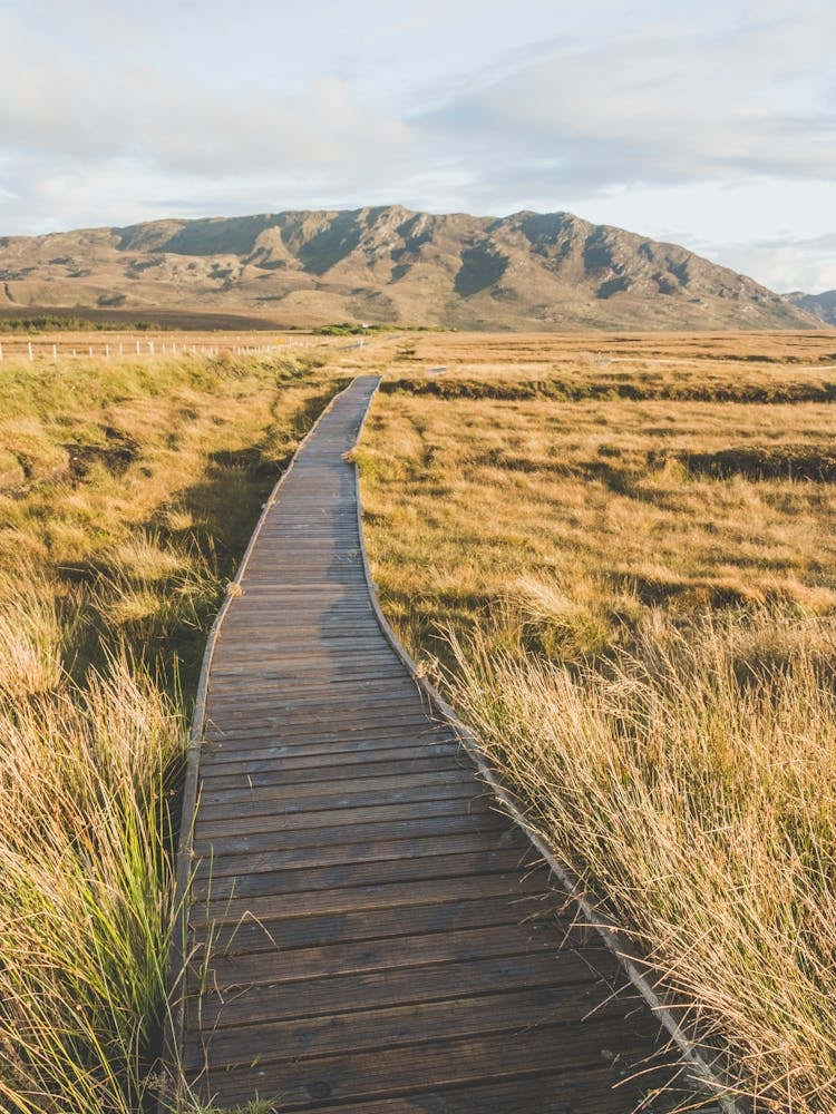 Irish Boardwalk Mountain Landscape