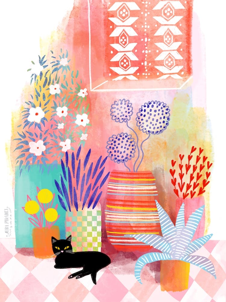 Greek Street With Cat