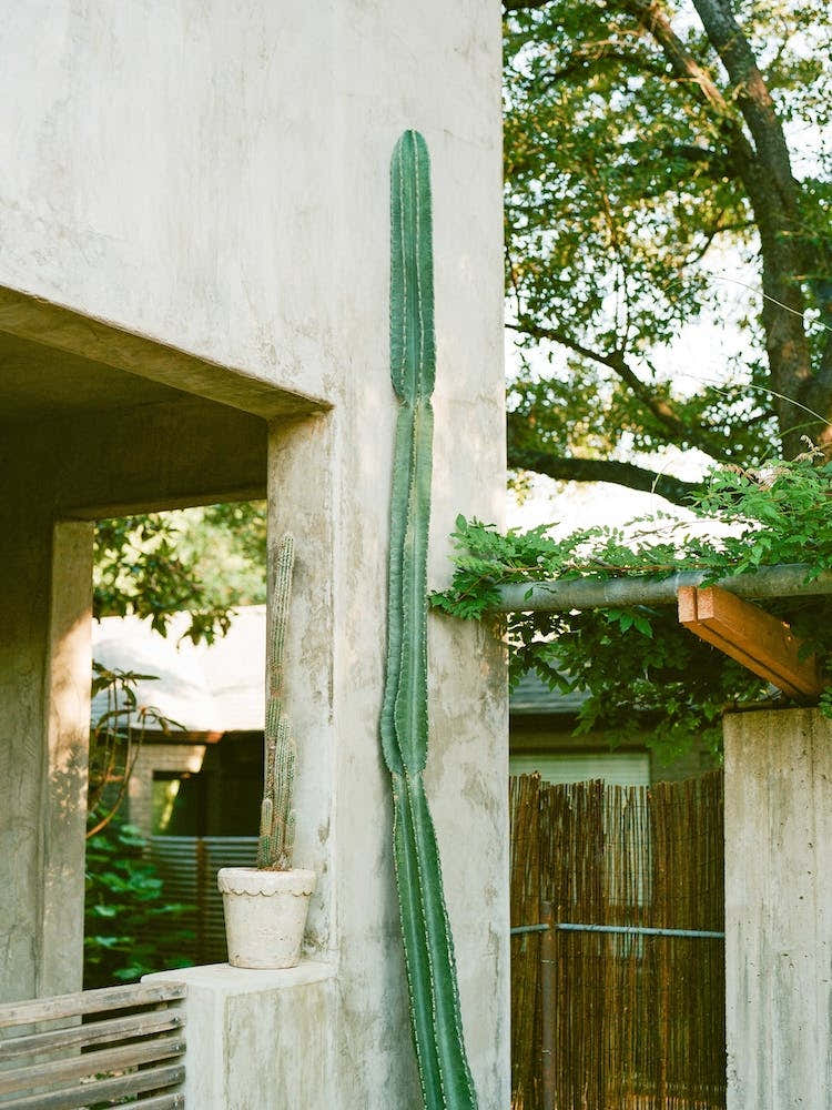 Austin Texas on Film
