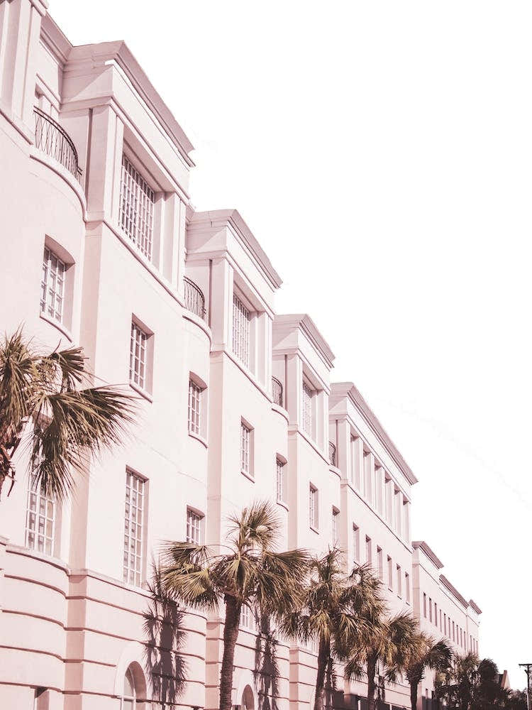 Pink And Palm Building