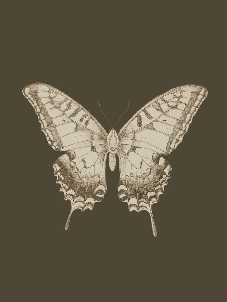 Vintage Butterfly