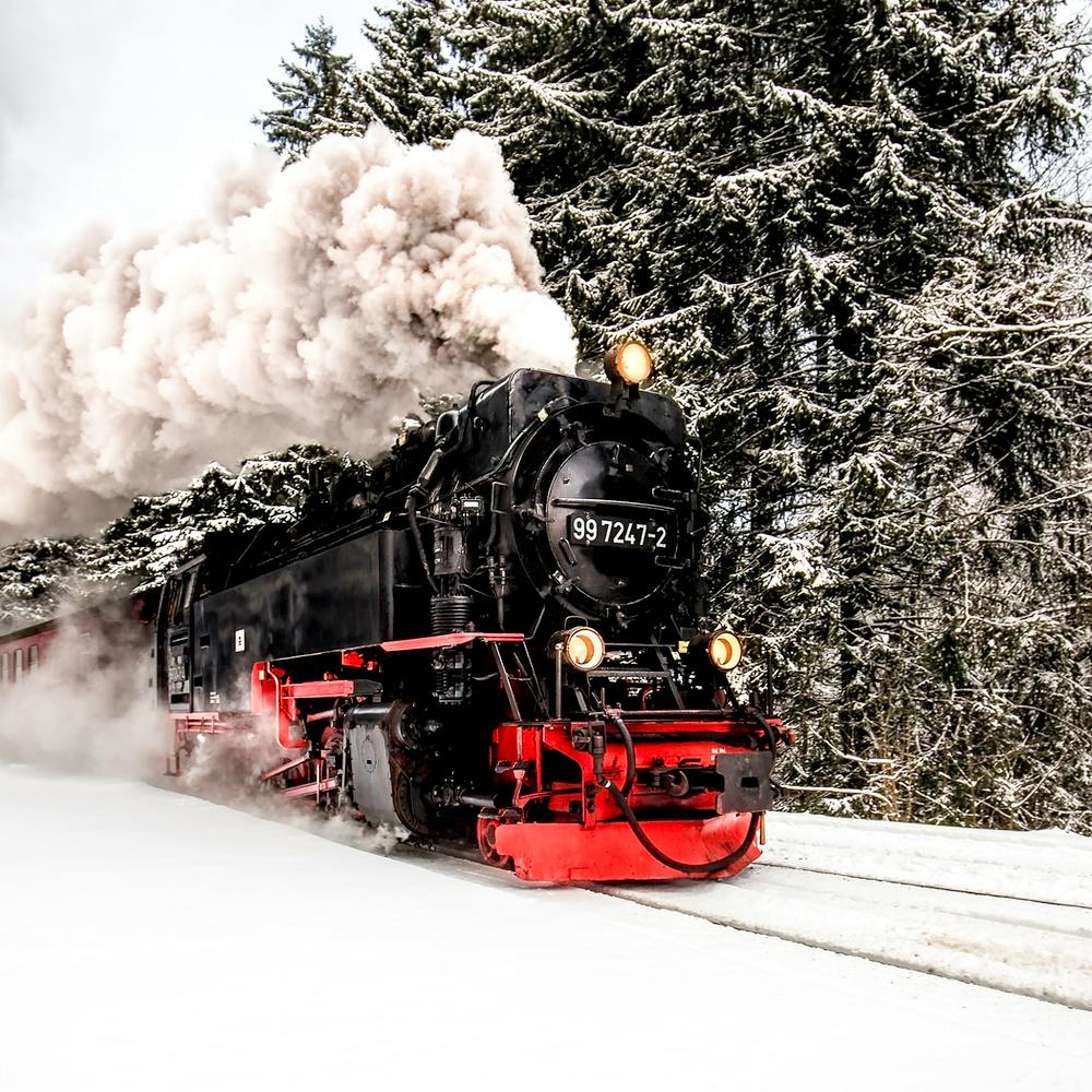 Steam Train in Winter Woods