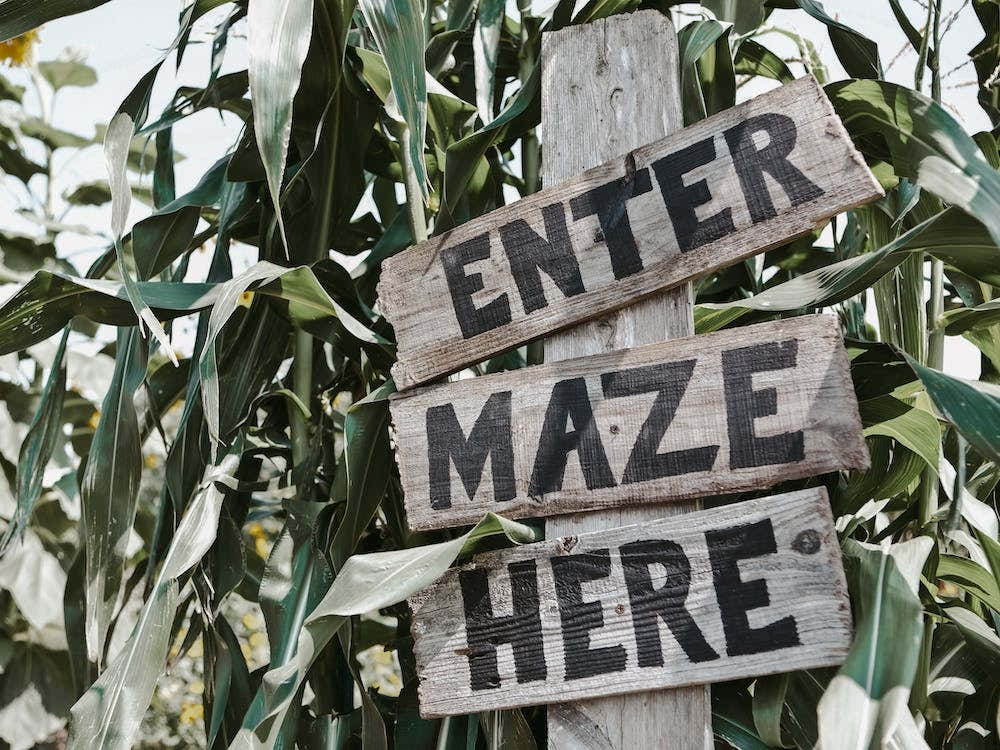 Enter Corn Maze Here Sign