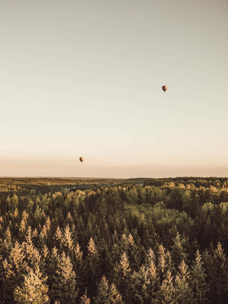 Hot Air Balloon Sunset