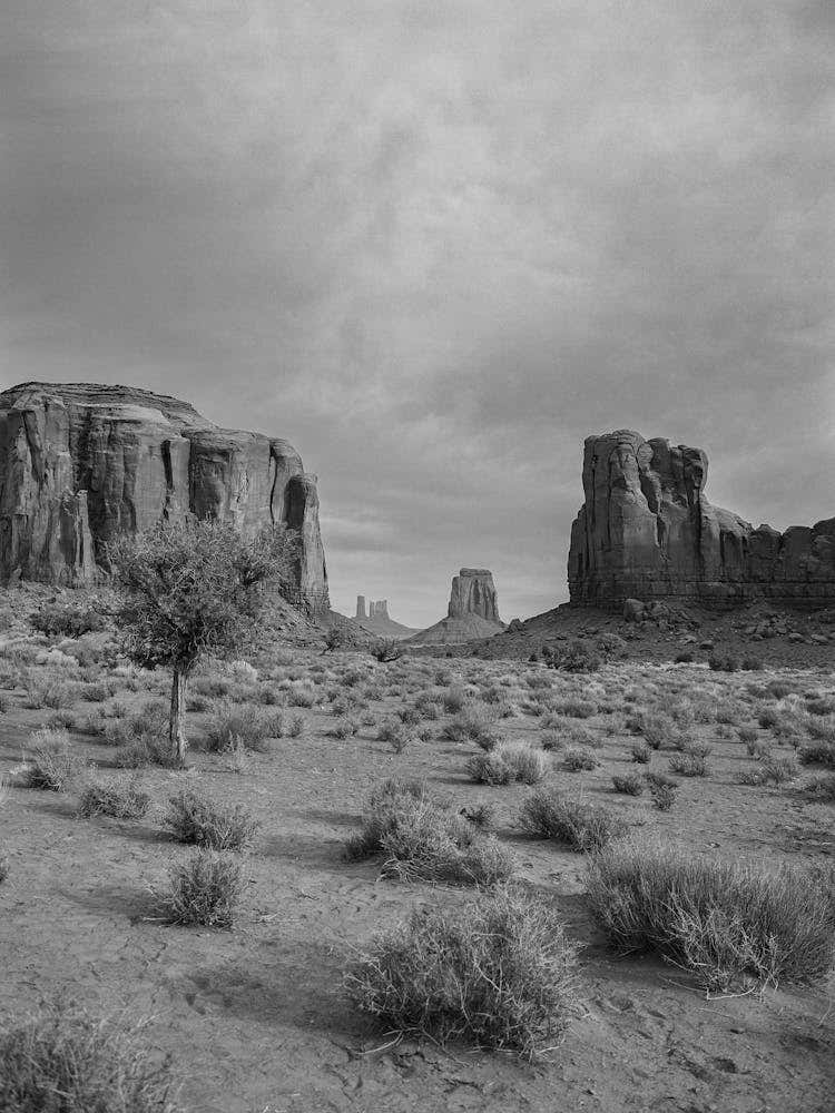 Monochrome Monument Valley on Film