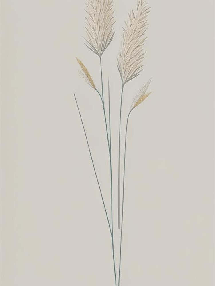 Psyllium Herb Simplicity 2