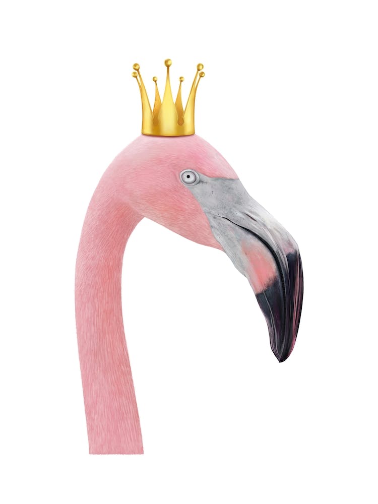 Queen Flamingo