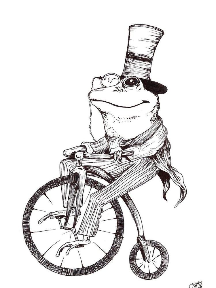 Black and White Frog on a Bike