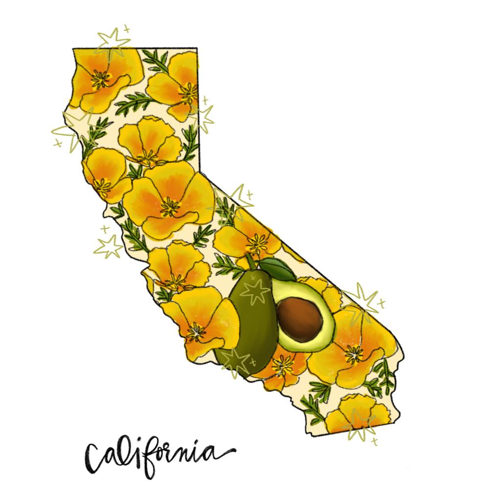 California- Illustrated States