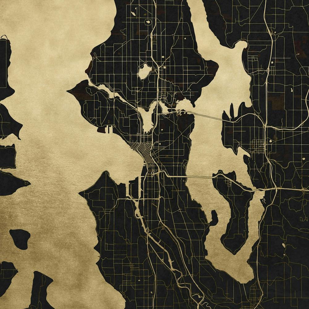 Seattle Gold And Black Street Map