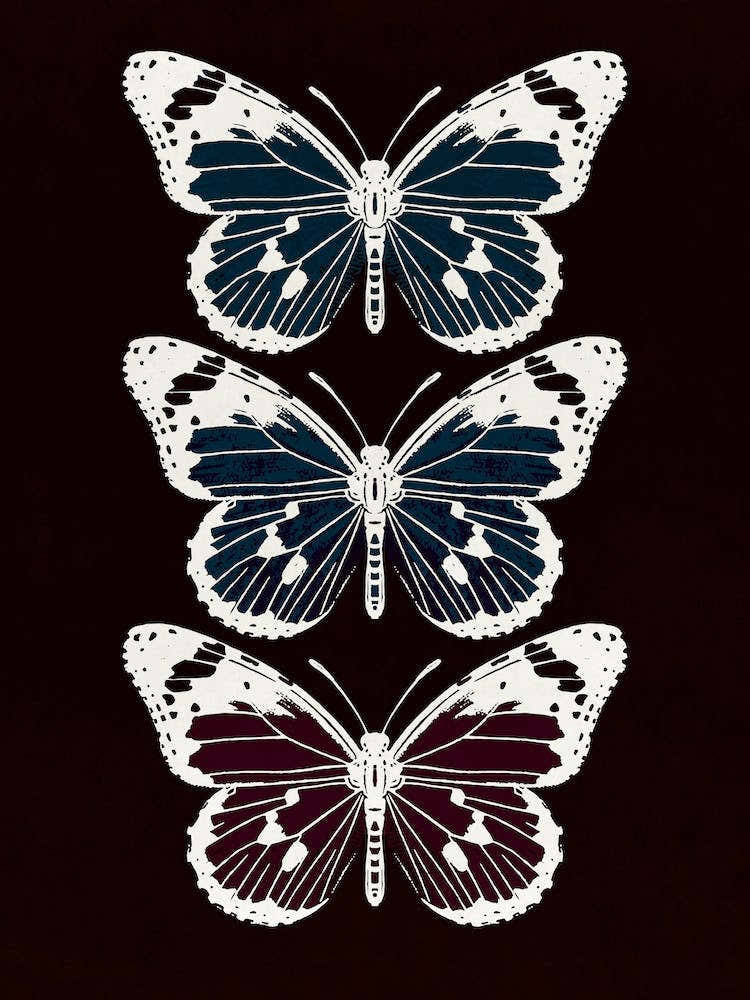 Butterflies 2