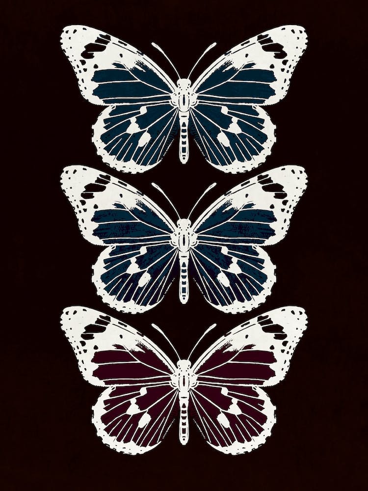 Butterflies 2