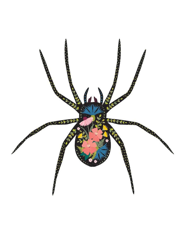 Floral Spider 2