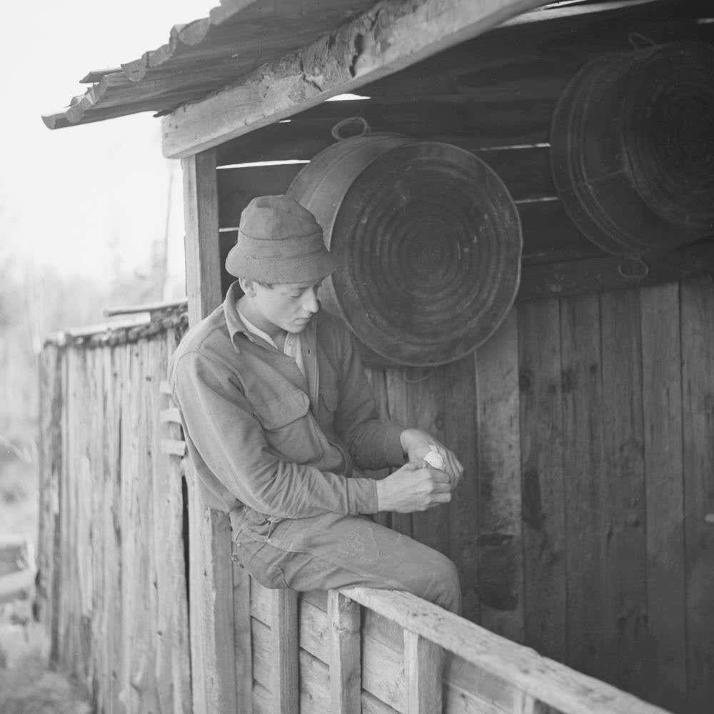 Son Of William Shanard, Cut Over Farmer, Near Silk Lake, Michigan, Rolling A Cigarette By Russell Lee