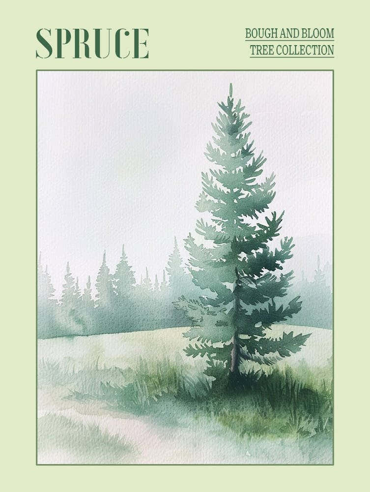 Spruce Tree Atmospheric Watercolour Painting 3 Poster