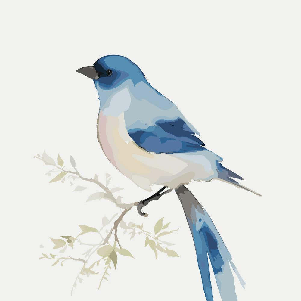 Blue Jay 1