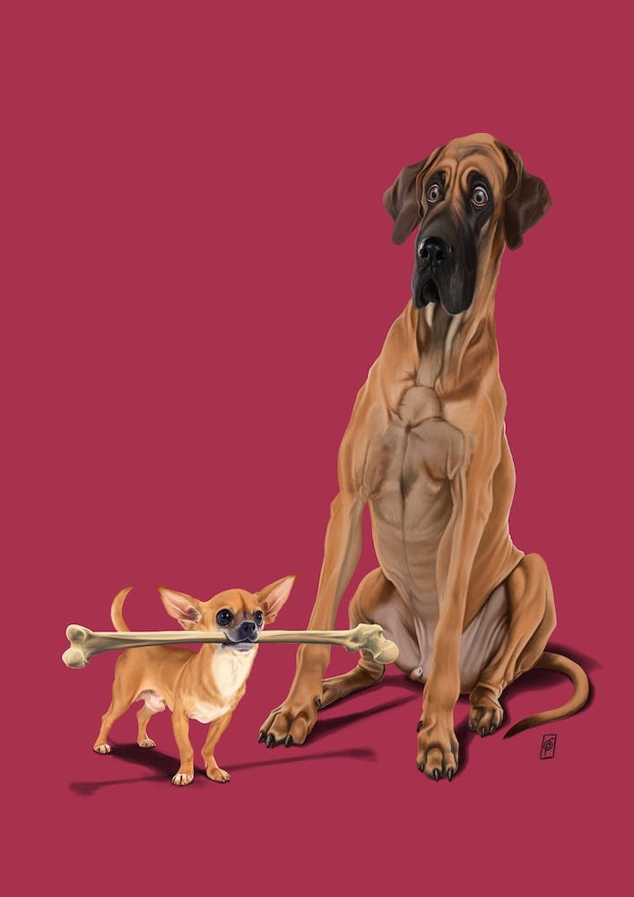 The Long and the Short and the Tall (Colour)