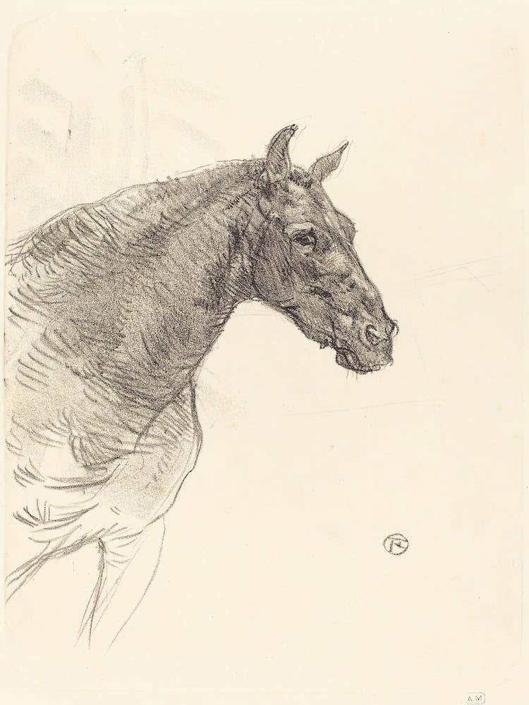 Old Horse (Le Vieux Cheval), (1897), 1, Henri de Toulouse-Lautrec