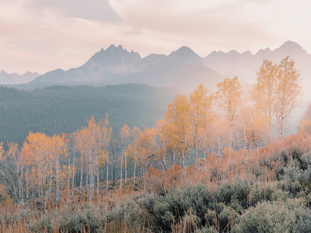 Colorado Aspen Mountains