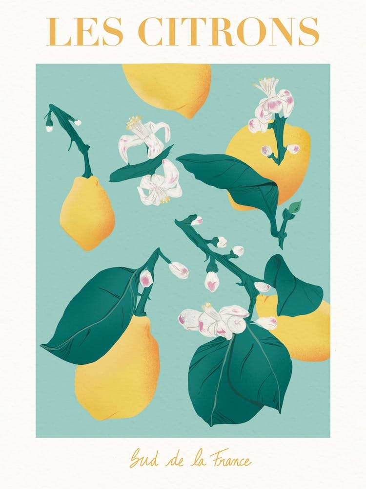 Lemon South Of France