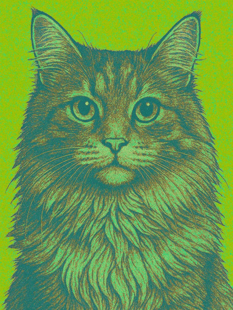 Cat On A Green Background