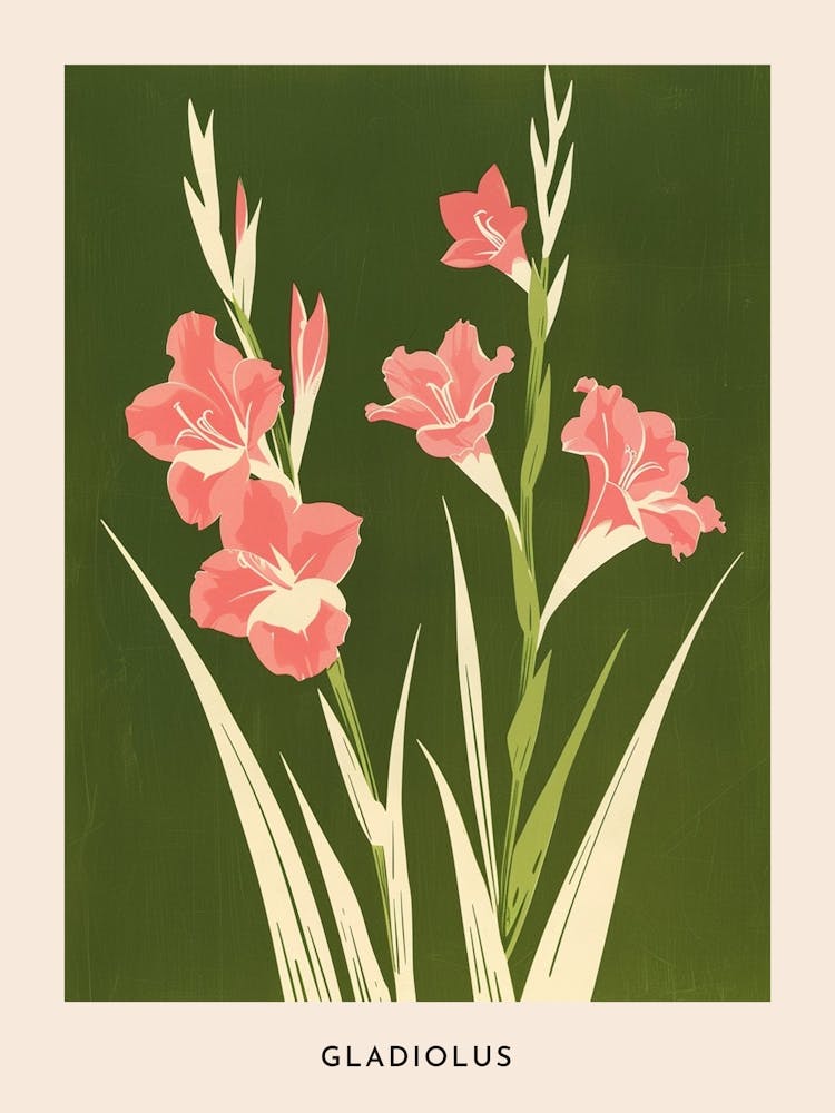 Pink & Green Gladiolus 2 Flower Poster