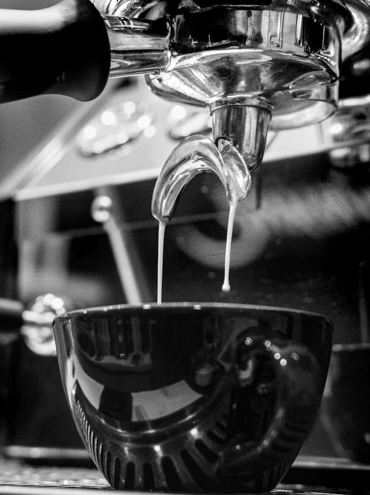 Barista Espresso Black and White_2162959