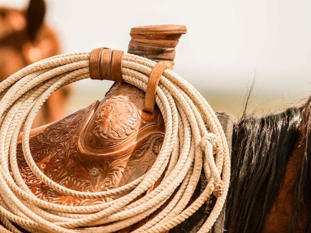 Roping Saddle