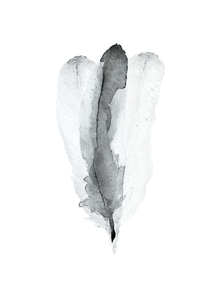 Feather No 172